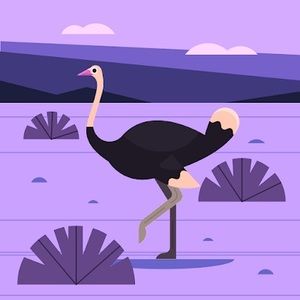 Meet your Posher, Hillary